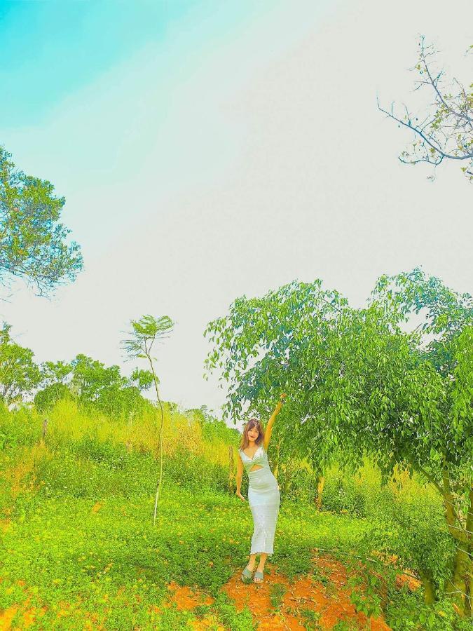 דירות Gia Nghĩa Bobbyfarm מראה חיצוני תמונה
